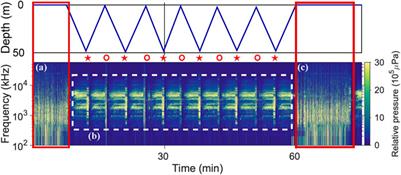 Gliders for passive acoustic monitoring of the oceanic environment